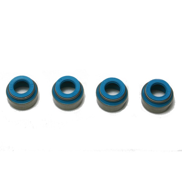 VITON VALVE SEALS